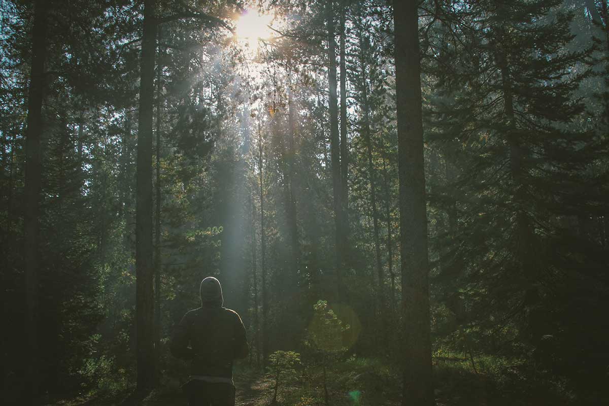 Ihminen kävelee metsässä