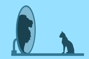 Dunning-Kruger-efekti